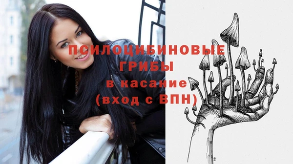 прущие крисы Мегион